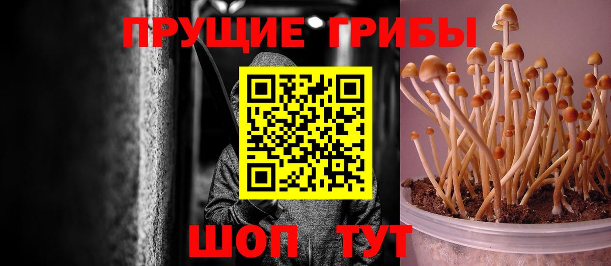 Галлюциногенные грибы мухоморы Тайшет